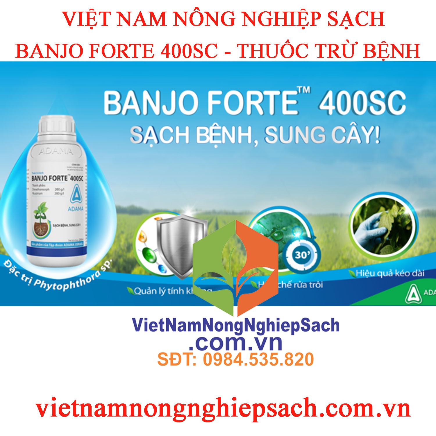 BANJO-FORTE-400SC-sạch-bệnh