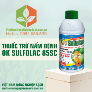 THUỐC TRỪ NẤM BỆNH OK SULFOLAC 85SC