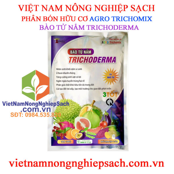 BÀO-TỬ-NẤM-TRICHODERMA