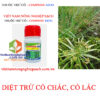 COMPRISE-60OD-CỎ-CHÁC