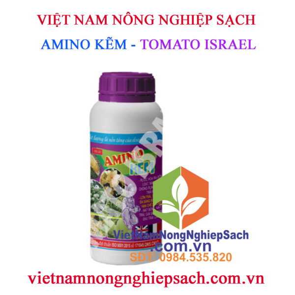 AMINO-KẼM-TOMATO-ISRAEL