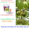 PLANT-GREEN-6-25-16-xanh-gai