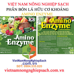 AMINO-ENZYME-CAN-20-LÍT