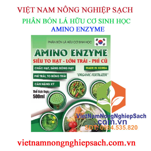 AMINO-ENZYME-CHAI-500ML