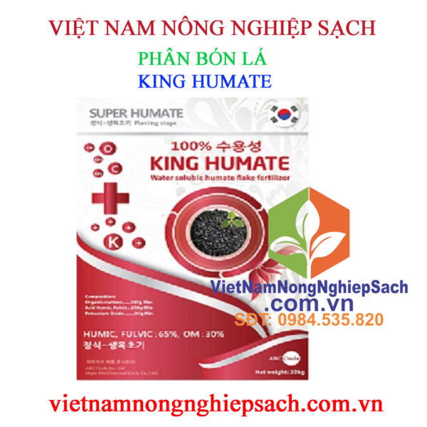 KING-HUMATE