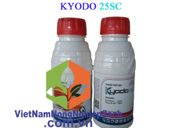 KYODO 25SC – THUỐC TRỪ SÂU ĐẶC TRỊ NHỆN ĐỎ, SÂU TƠ, SÂU XANH DA LÁNG, BỌ PHẤN, RẦY XANH, RẦY MỀM CHAI 450ML – VIỆT NAM NÔNG NGHIỆP SẠCH