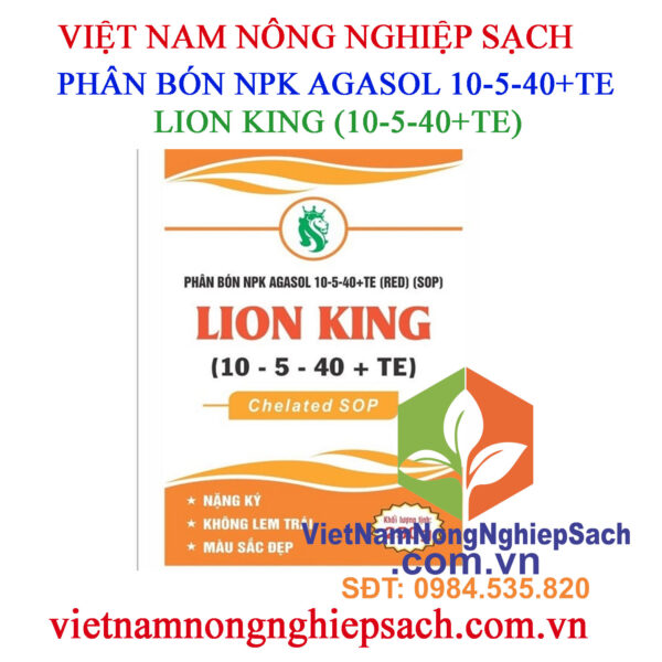 LION-KING-(10-5-40+TE)