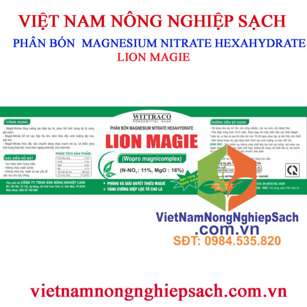 LION-MAGIE