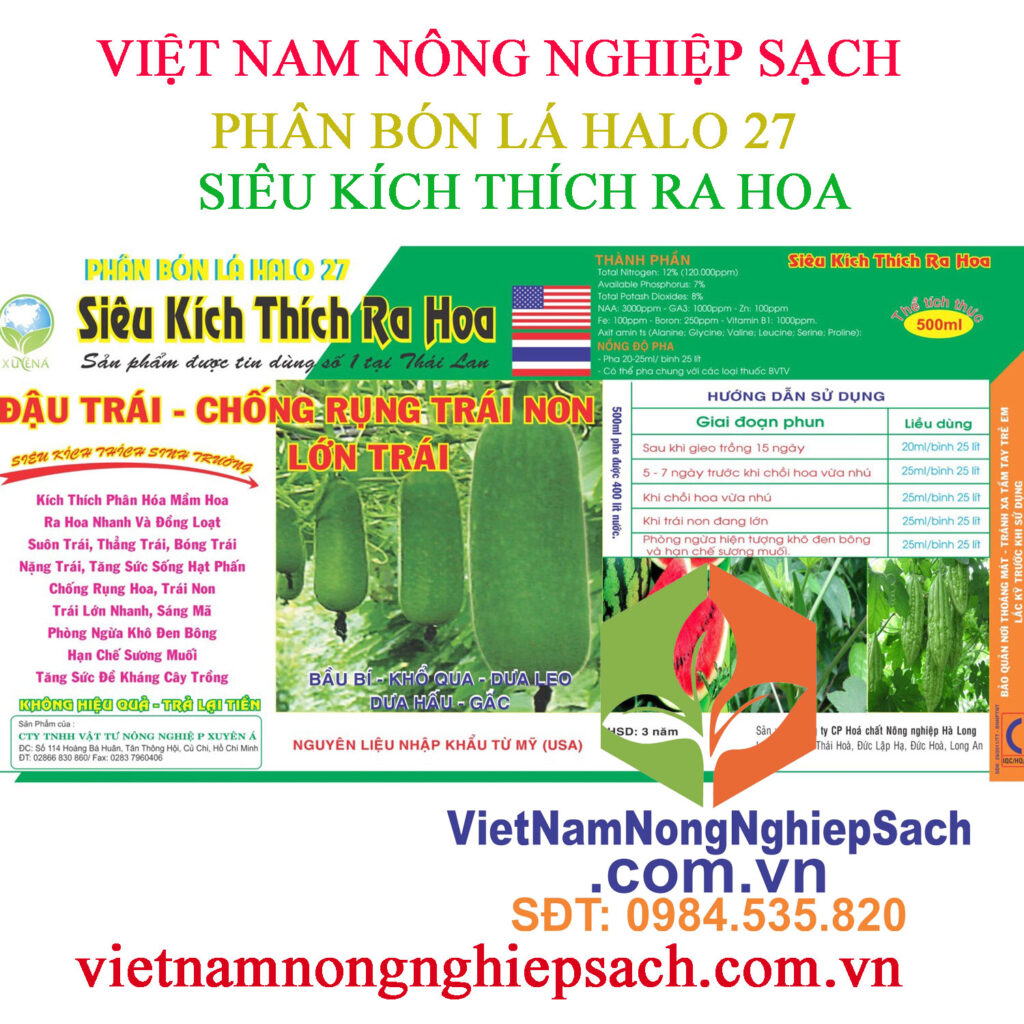 SIÊU-KÍCH-THÍCH-RA-HOA