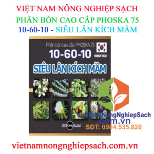 SIÊU-LÂN-KÍCH-MẦM