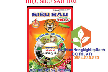 CÁCH NHẬN BIẾT VÀ BIỆN PHÁP PHÒNG TRỊ NHỆN ĐỎ GÂY HẠI TRÊN CÂY MAI – VIỆT NAM NÔNG NGHIỆP SẠCH