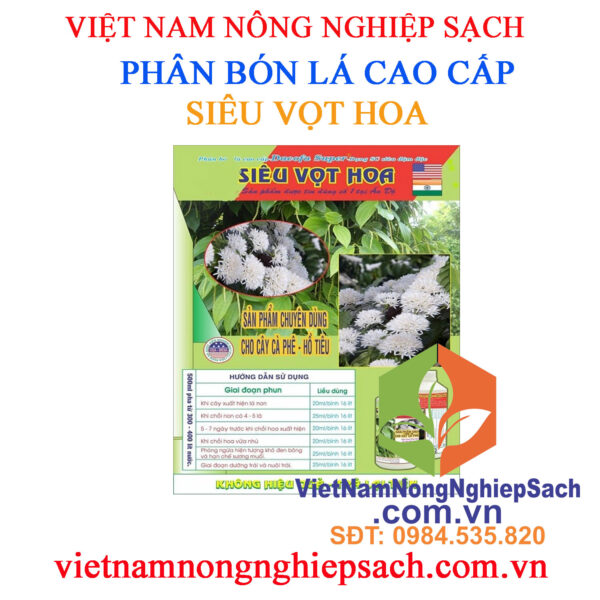 SIÊU-VỌT-HOA-CÀ-PHÊ-TIÊU