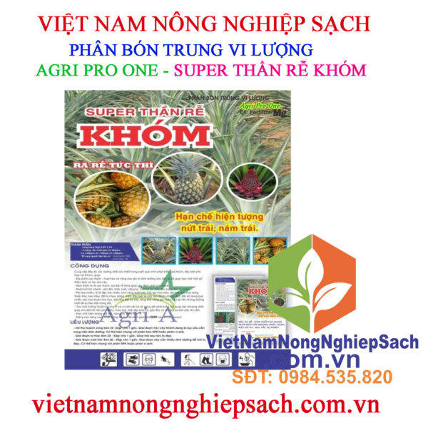 SUPER-THẦN-RỄ-KHÓM