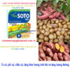 VINA-SOTO-9SP-to-củ