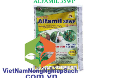 ALFAMIL 35WP – THUỐC ĐẶC TRỊ BỆNH ĐỐM LÁ (CHÁY LÁ DỪA) GÂY HẠI CHO CÂY DỪA – VIỆT NAM NÔNG NGHIỆP SẠCH