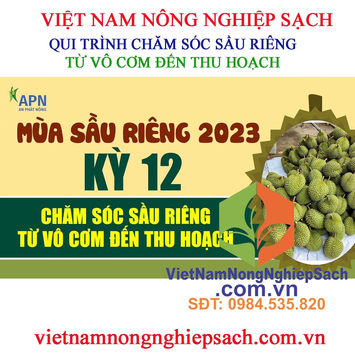 CHĂM-SÓC-SẦU-RIÊNG-2