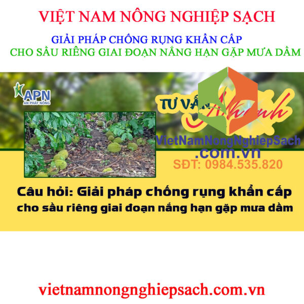 CHỐNG-RỤNG-SR