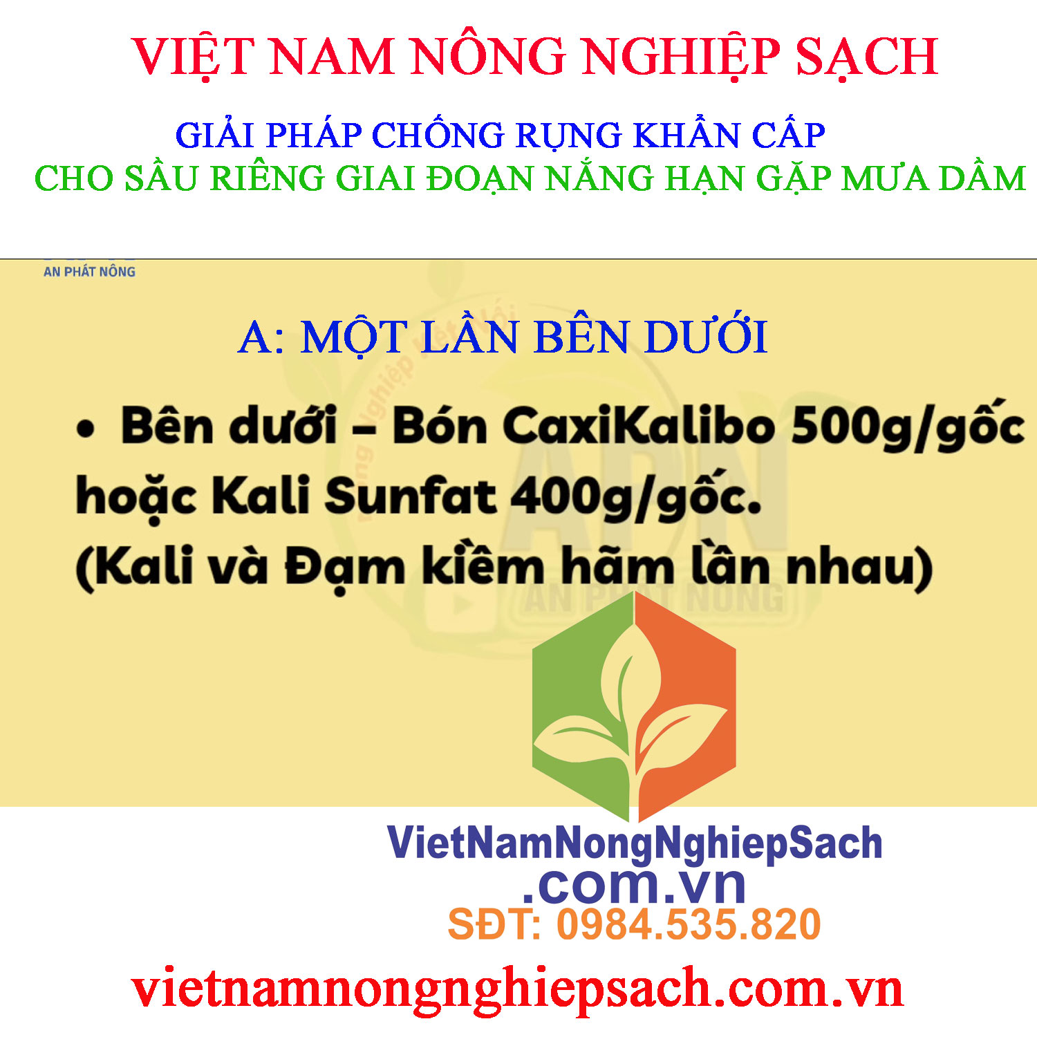 CHỐNG-RỤNG-SR