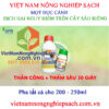 MỌT-ĐỤC-CÀNH-SẦU-RIÊNG-1