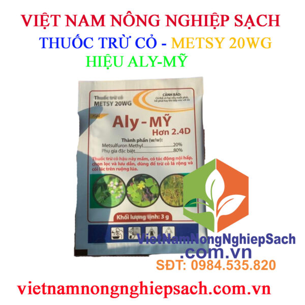 ALY-MỸ