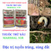 MARSHAL-5GR-sùng-đất