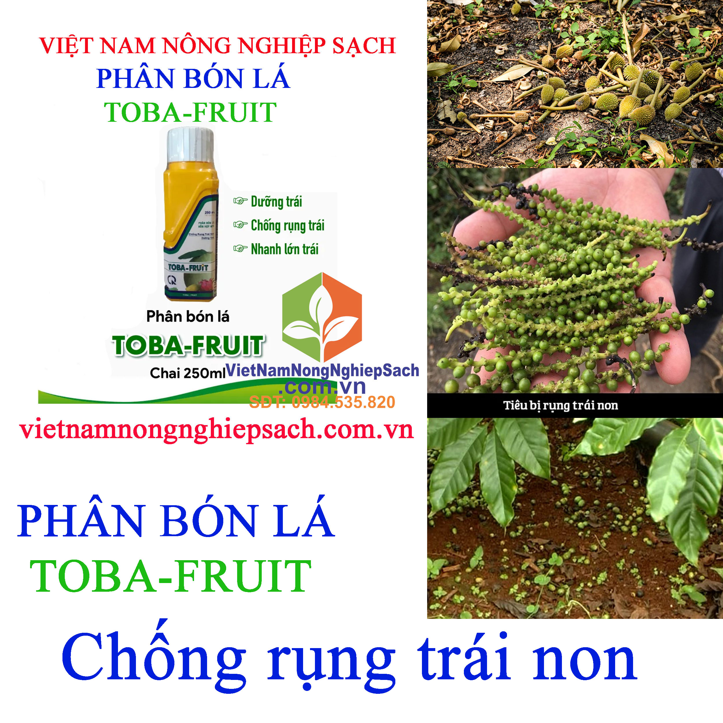 TOBA-FRUIT-rụng-trái-non