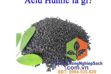 ACID HUMIC LÀ GÌ ? CÓ CÔNG DỤNG NHƯ THẾ NÀO ĐỐI VỚI CÂY TRỒNG ?