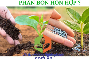 KHÁI NIỆM VỀ PHÂN BÓN HÓA HỌC ĐƠN CHẤT VÀ PHÂN BÓN HÓA HỌC HỖN HỢP