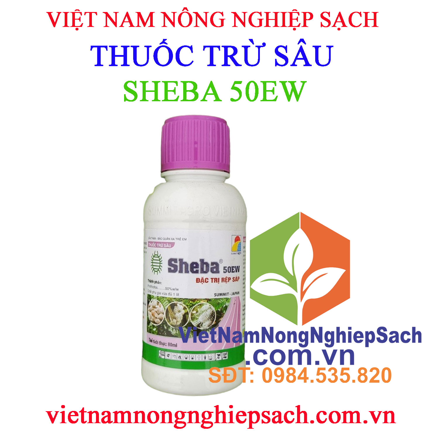 SHEBA-50EW