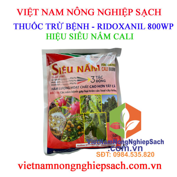 SIÊU-NẤM-CALI