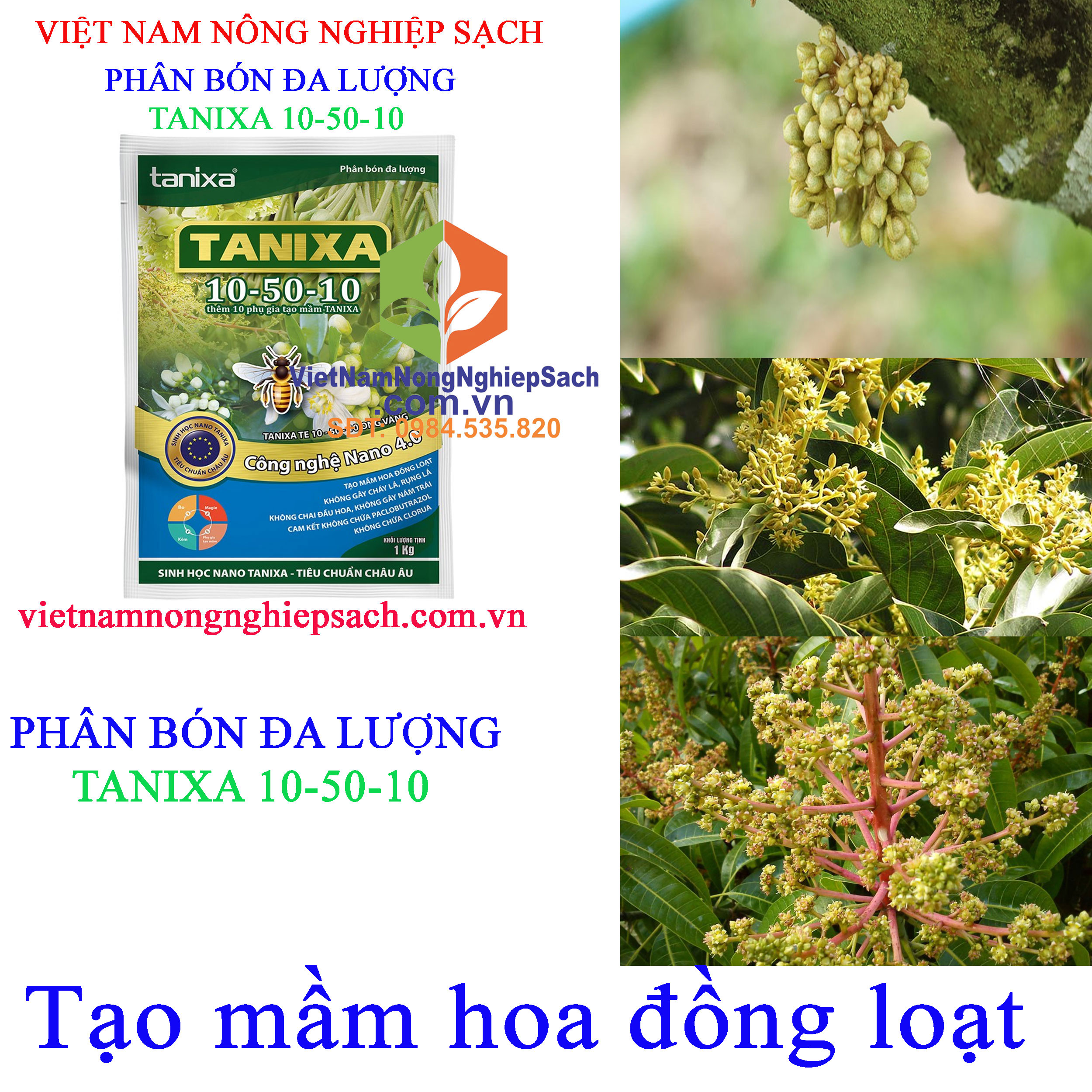 TANIXA-10-50-10 tạo-mầm-hoa