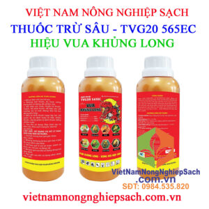 TVG20-565EC-VUA-KHỦNG-LONG