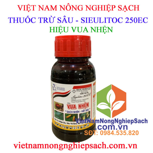 VUA-NHỆN