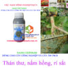 NANO-CHITOSAN -thán-thư