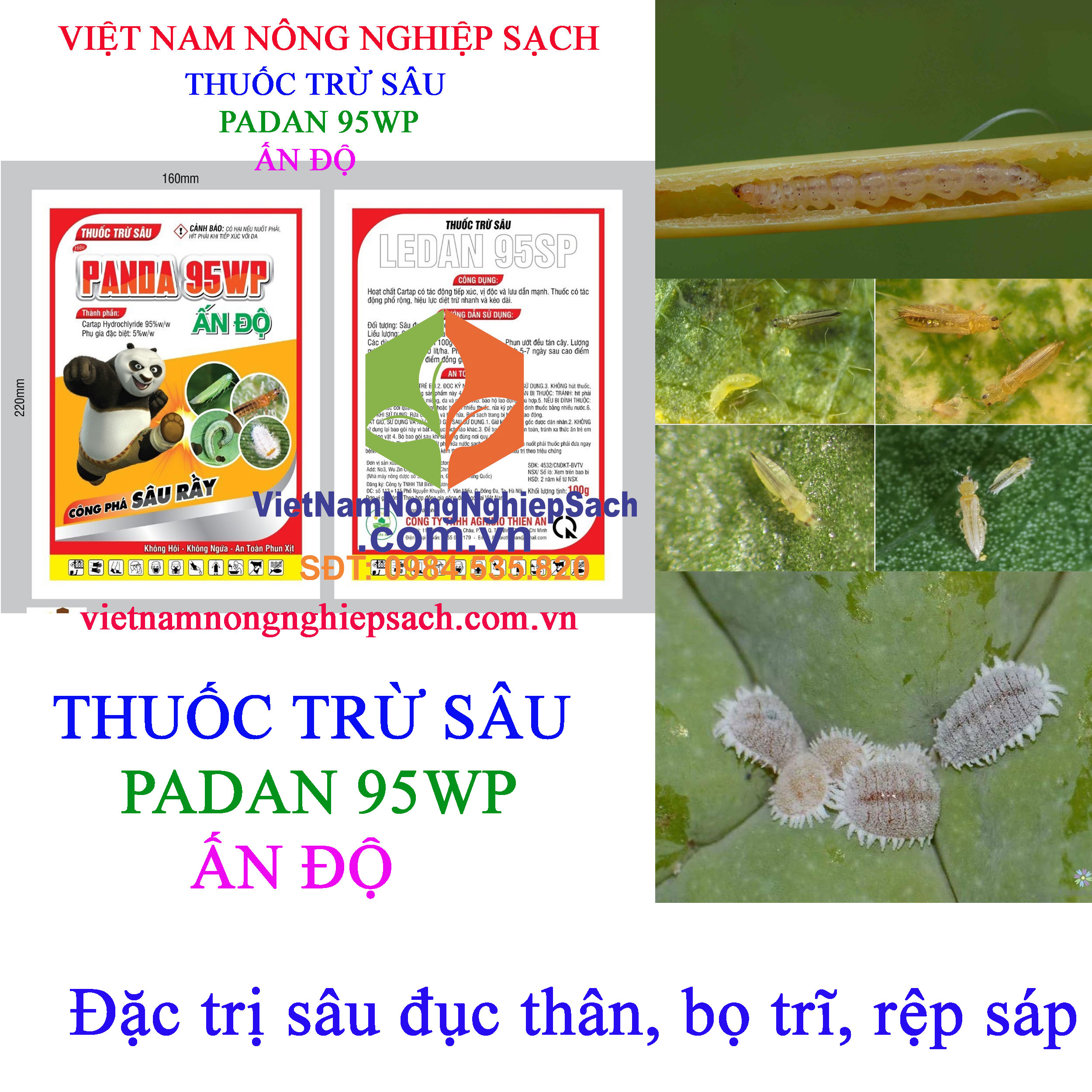 PADAN 95WP ẤN ĐỘ – THUỐC TRỪ SÂU RẦY XANH, SÂU XANH DA LÁNG - NÔNG ...