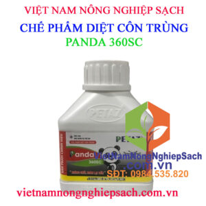 PANDA-360SC-CHAI