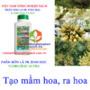 FLORILÈGE-ULTRA-TẠO-MẦM-HOA