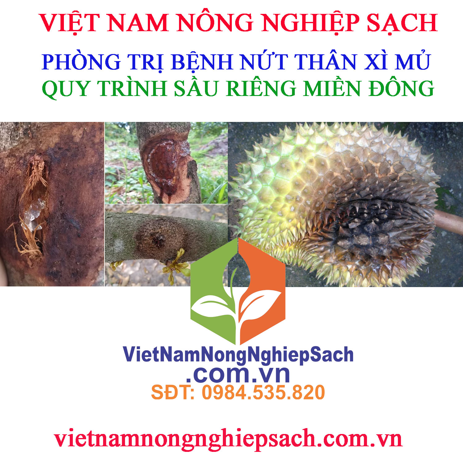 NỨT-THÂN-XÌ-MỦ-SẦU-RIÊNG