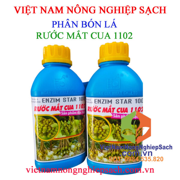 RƯỚC-MẮT-CUA-1102