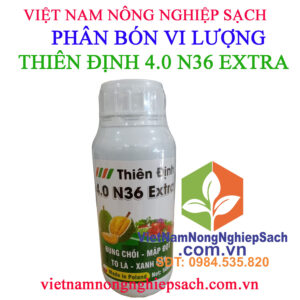 THIÊN-ĐỊNH-4.0-N36-EXTRA