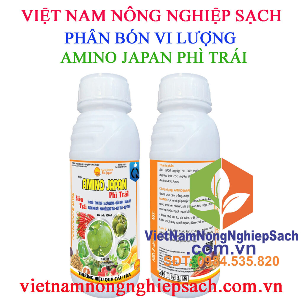 AMINO-JAPAN-PHÌ-TRÁI