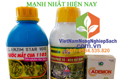 BỘ RƯỚC MẮT CUA MẠNH NHẤT HIỆN NAY – VNNNS