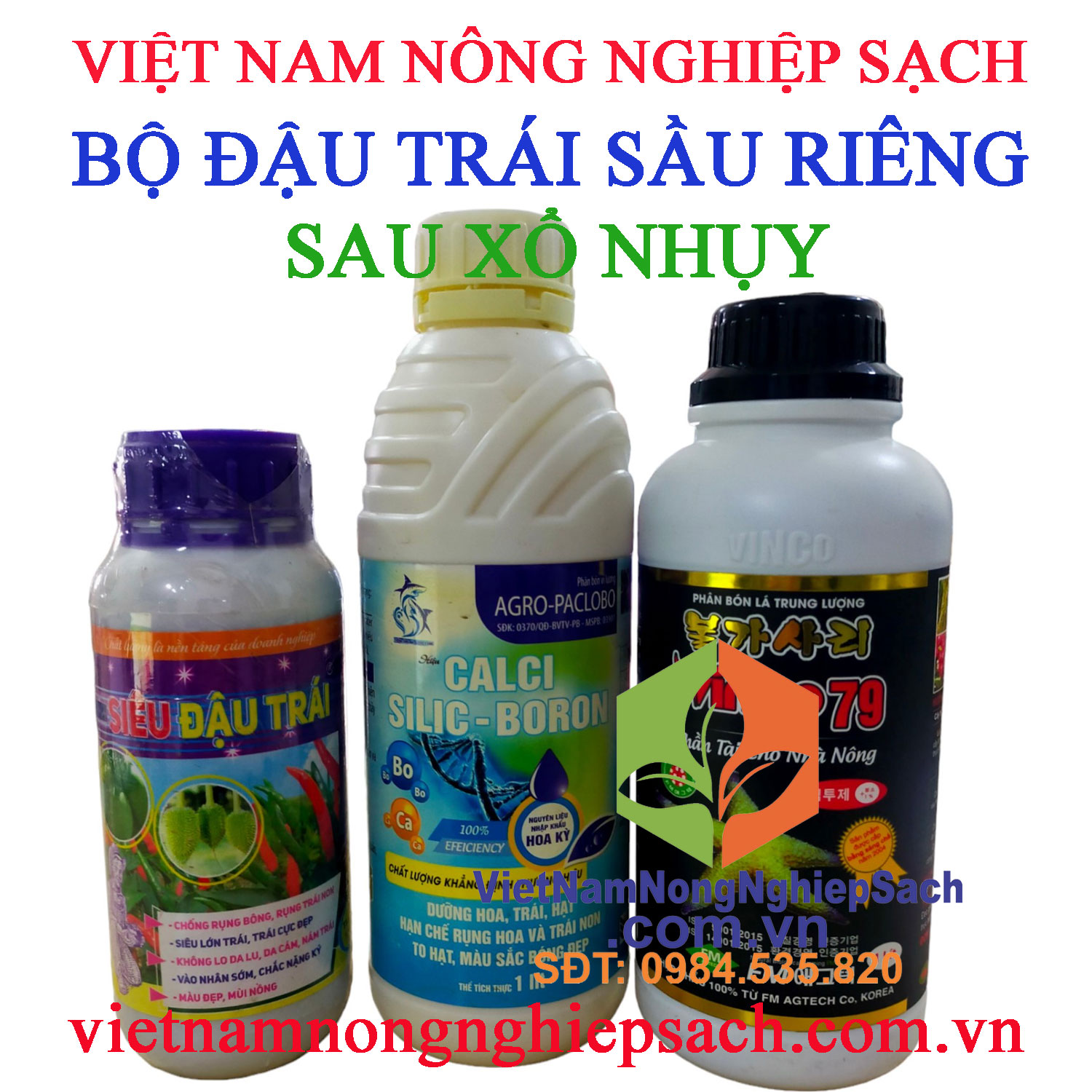 ĐẬU-TRÁI-SẦU-RIÊNG-6