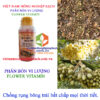 FLOWER-VITAMIN-RỤNG-BÔNG