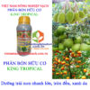 KING-TROPICAL-lớn-trái