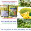 NUTRI-FULVIC-20-20-20-đậu-trái