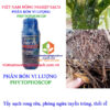 PHYTOPHOSCOP-tẩy-rong-rêu