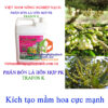 TRAFOS-K-can-5-lít-mầm-hoa