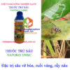 YAPOKO-250SC-sâu-vẽ-bùa