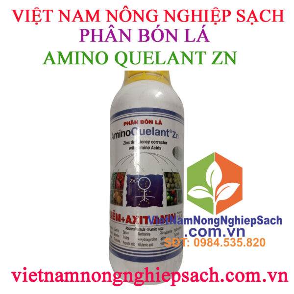 AMINO-QUELANT-ZN